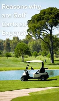 why are golf carts so expensive