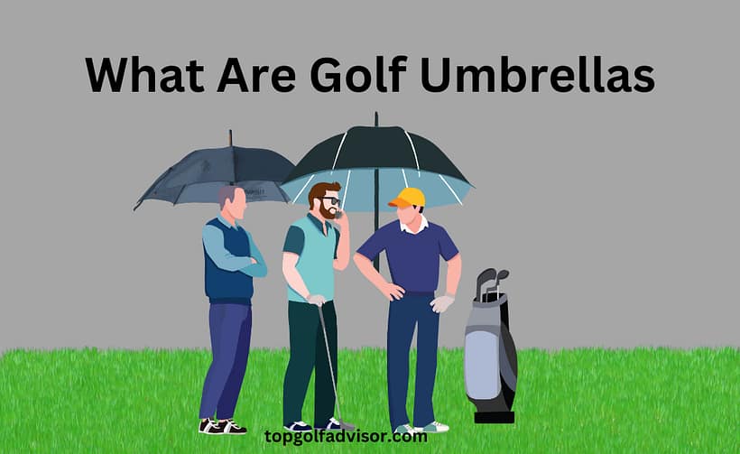 What Are Golf Umbrellas guide